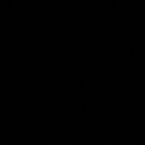 Meet your Posher, Diego